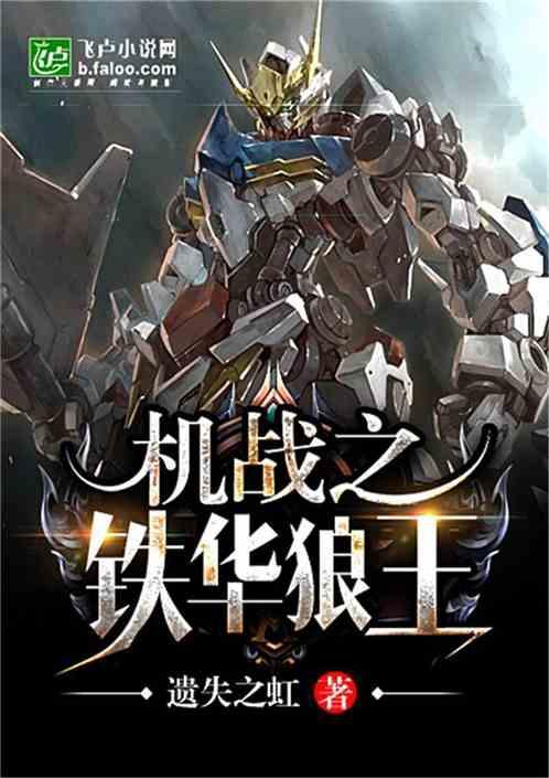 机战之铁华狼王 机战之铁华狼王